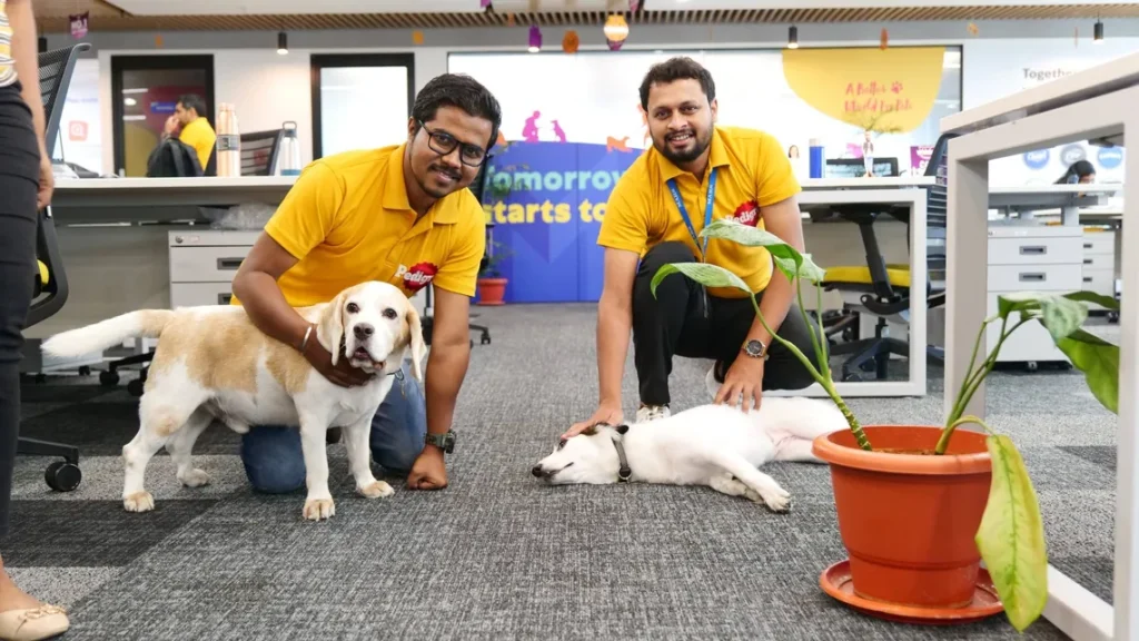 The Rise of Pet-Friendly Workplaces: How Companies are Adapting to Pet Parents Pet-Friendly Workplaces